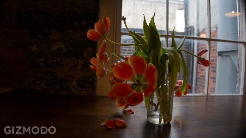 Illustration for article titled Sony NEX-6 Gallery: Sample Images